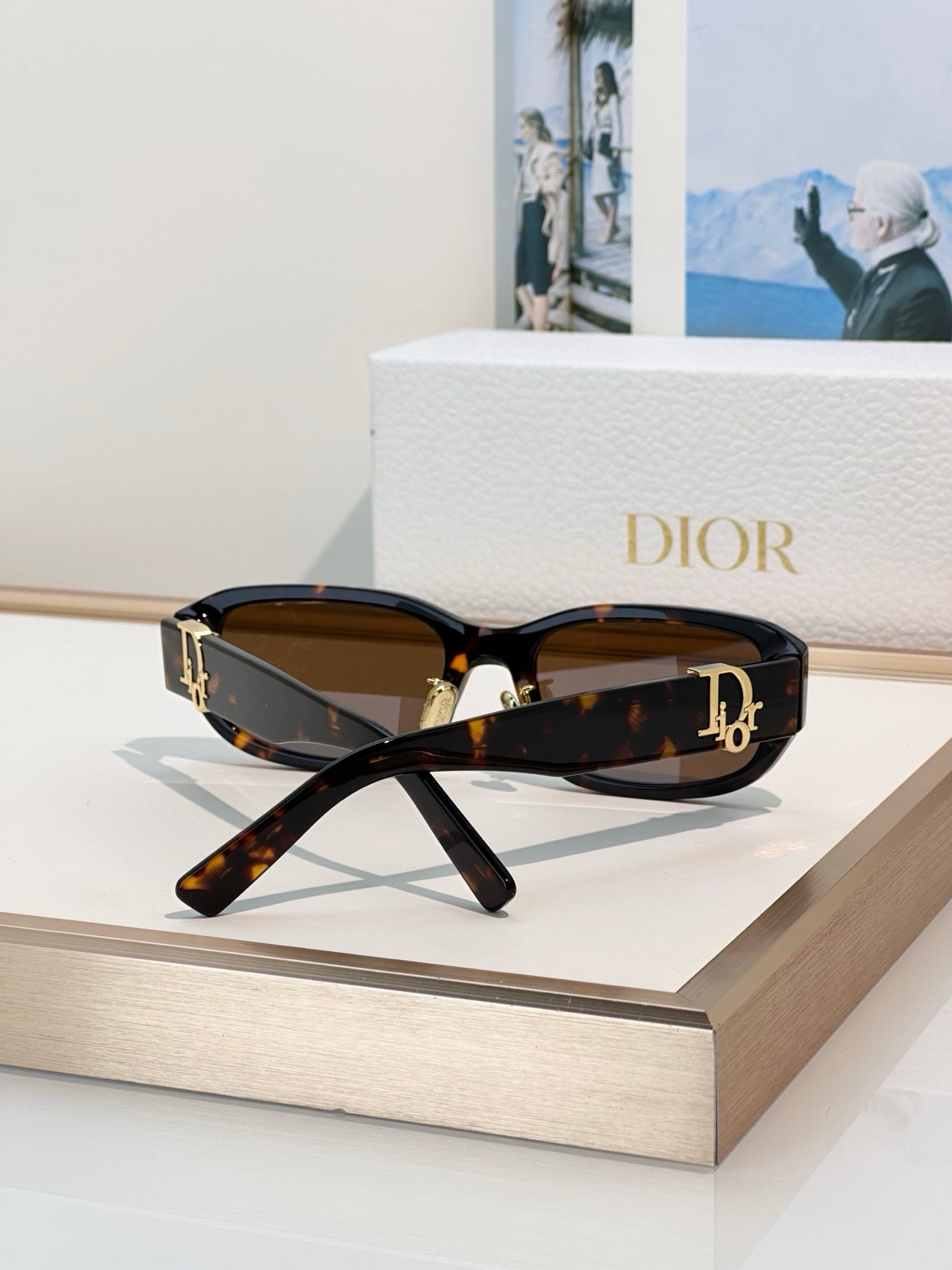 DIOR Oblique R2F Oval Sunglasses✨