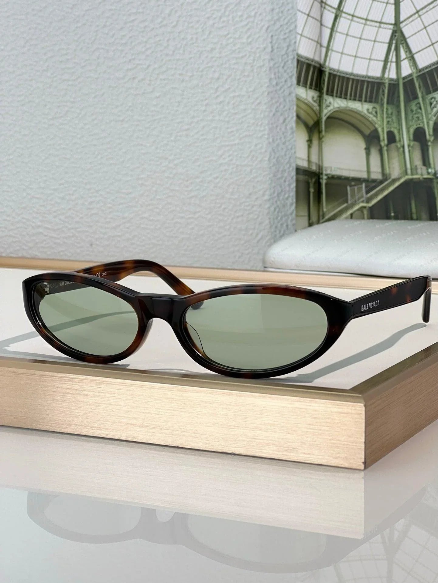 BALENCIAGA BB0007S Acetate Sunglasses 👽