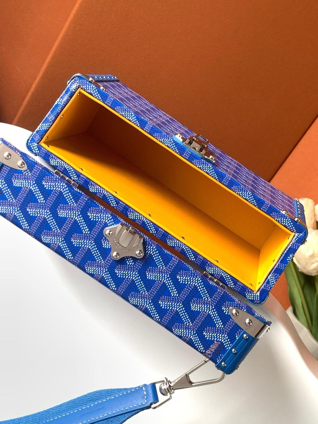 Goyard Cassette Trunk Strap Bag - 11 Available Colors ✨