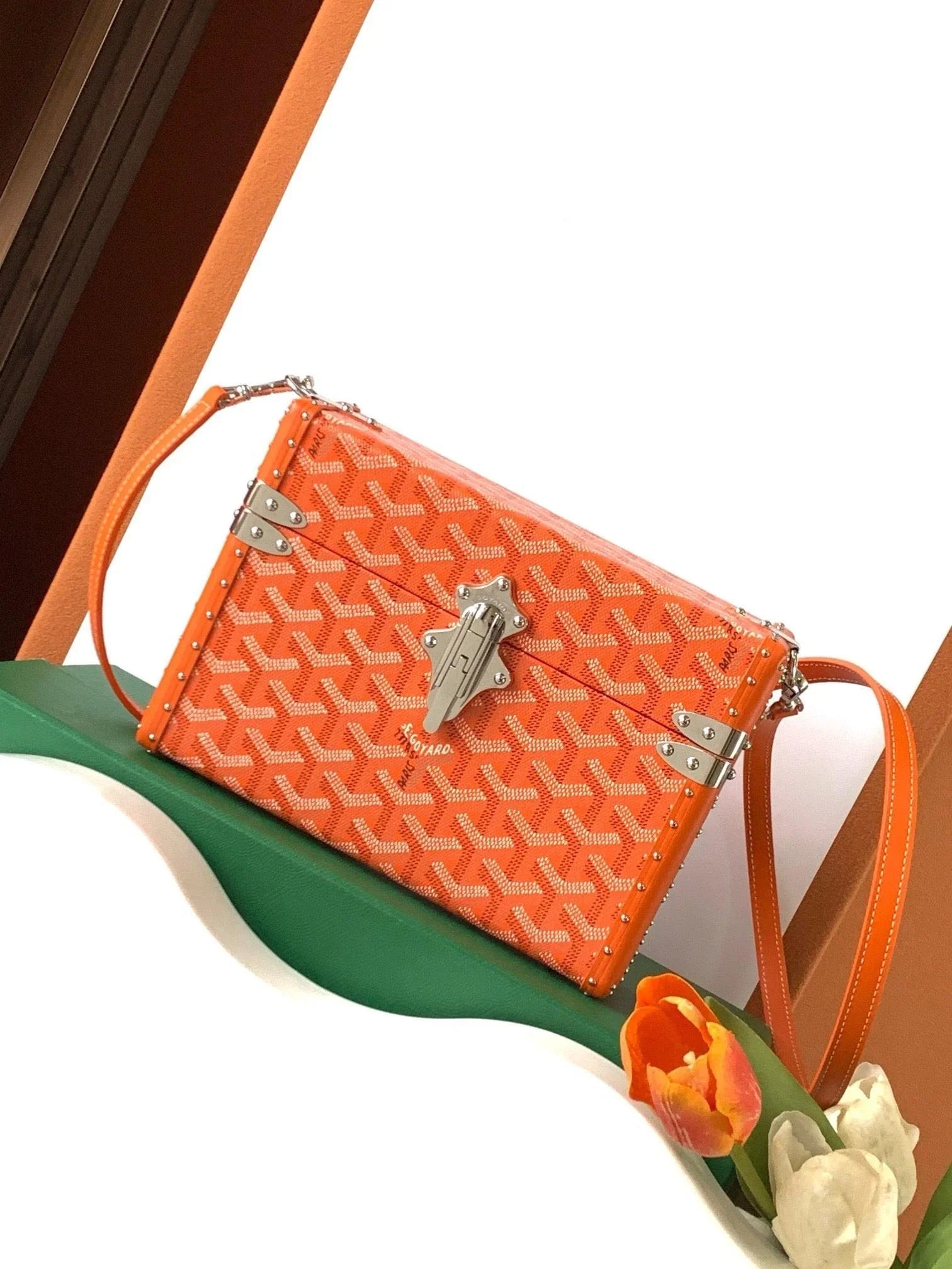 Goyard Cassette Trunk Strap Bag - 11 Available Colors ✨