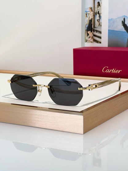 Cartier CT0439S Unisex Sunglasses &amp; Eyeglasses $3495 ✨