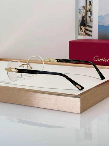 Cartier CT0439S Unisex Sunglasses &amp; Eyeglasses $3495 ✨