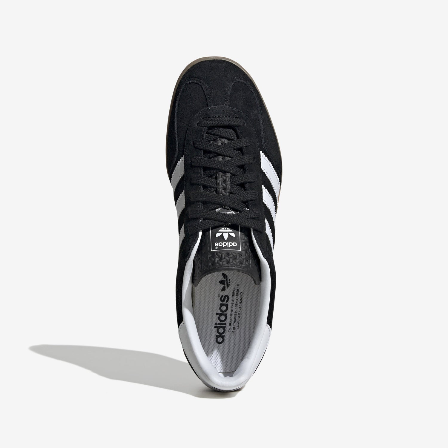 Gazelle Indoor