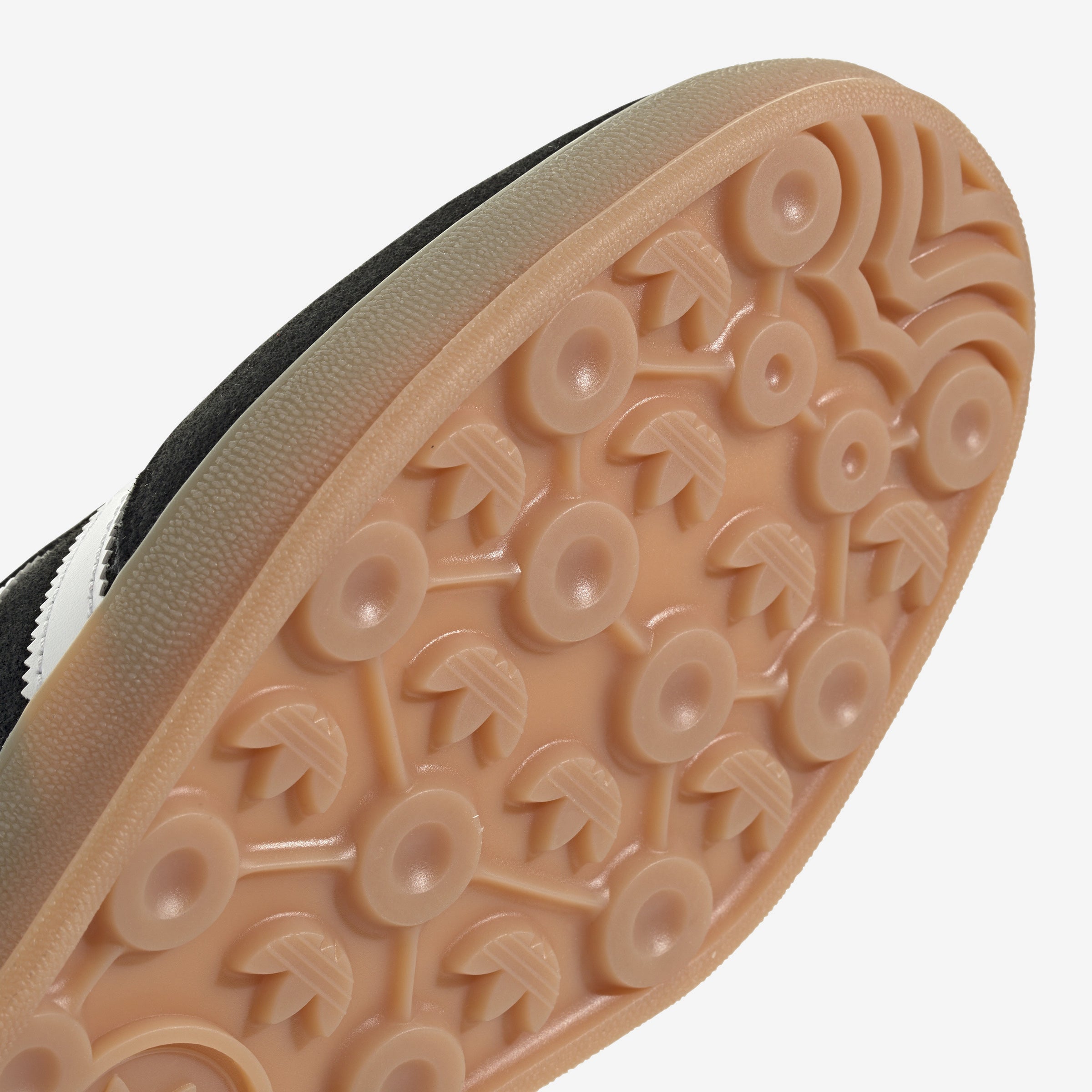 Gazelle Indoor