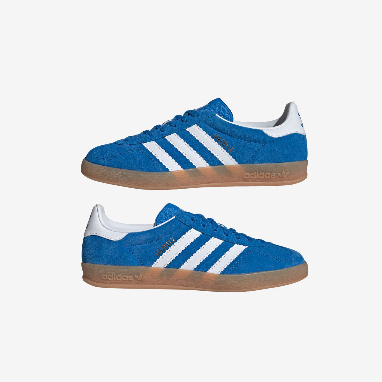 Gazelle Indoor