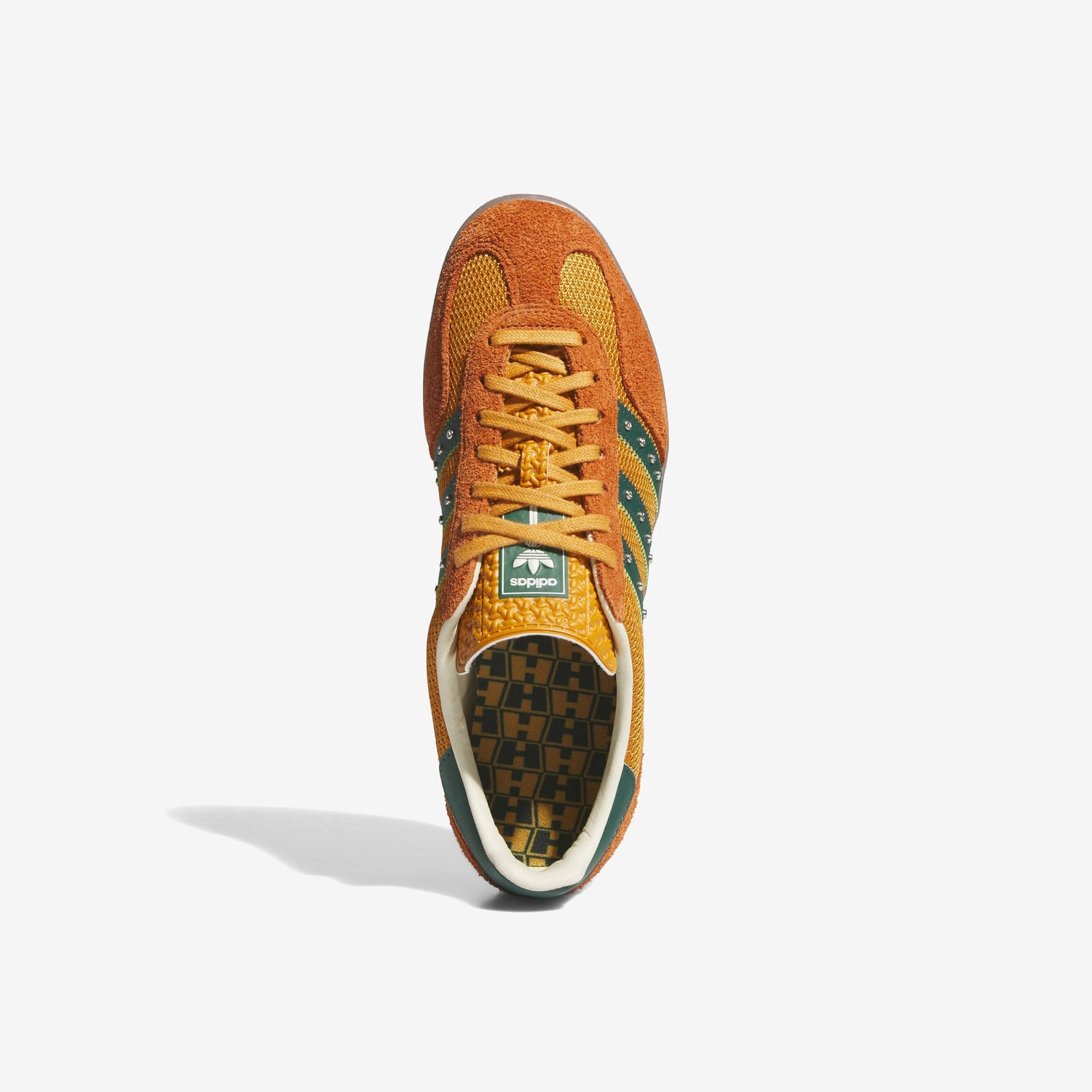 Gazelle Indoor x Hardies