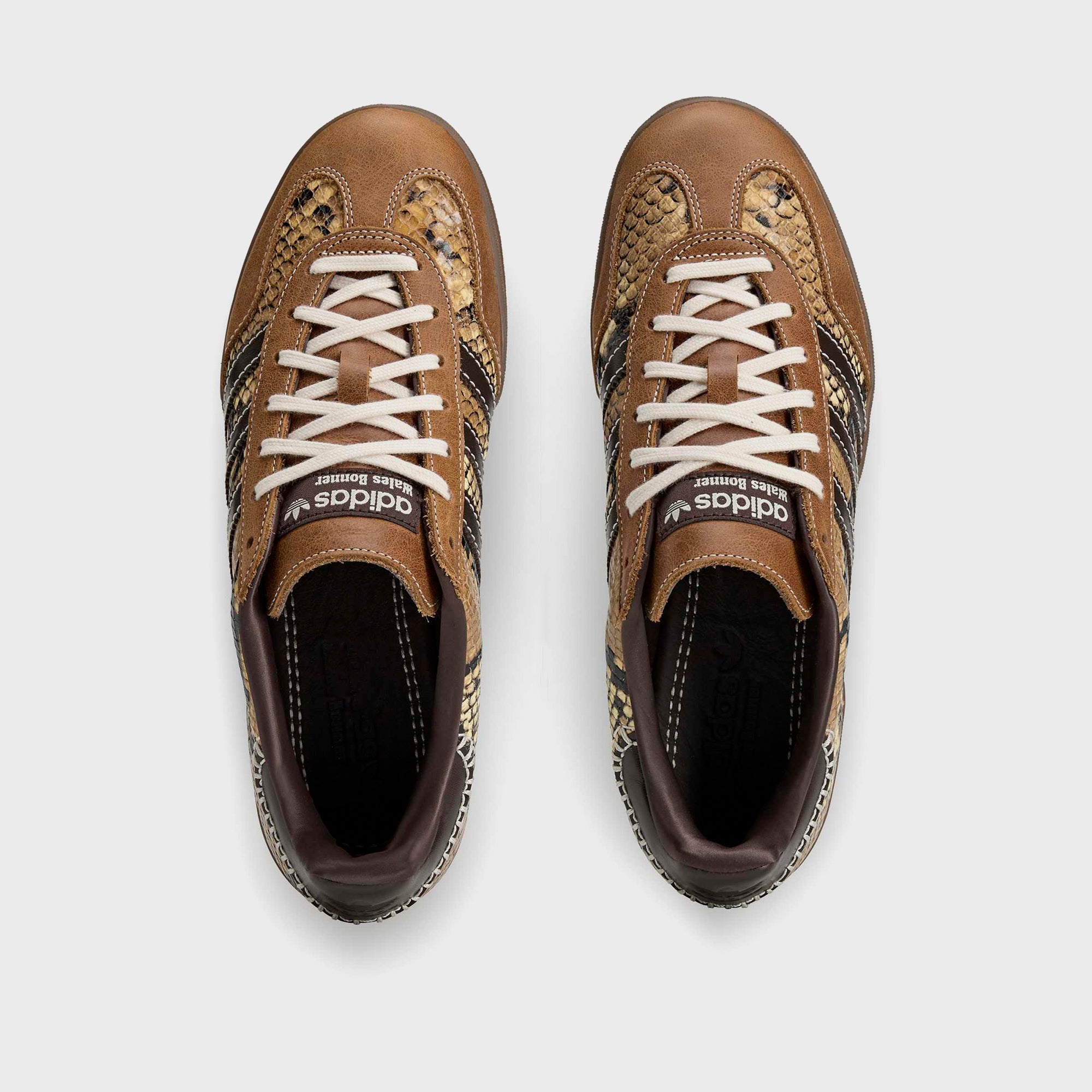 adidas x Wales Bonner Gazelle Snake - Dust Rust / Wonder White / Collegiate Burgundy