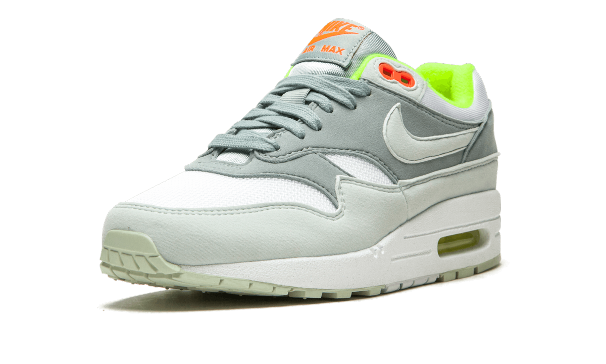 AIR MAX 1 WMNS "Barely Grey / Pumice" 319986 107