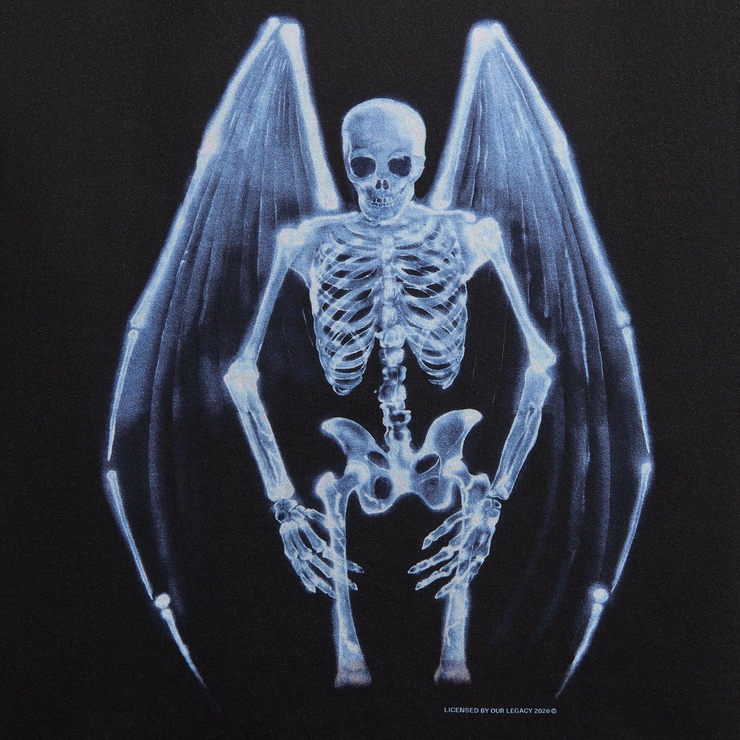 Our Legacy New Box Tee - Fallen Angel Print