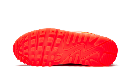 AIR MAX 90 PRM WMNS "Platinum Crimson/Bright Purple" CT3449 600