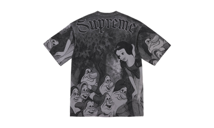 Snow White S/S Top "FW24 Grey" SU989
