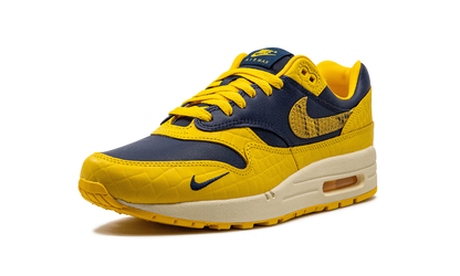 AIR MAX 1 PRM MNS WMNS "Co.jp Head to Head" FJ5479 410