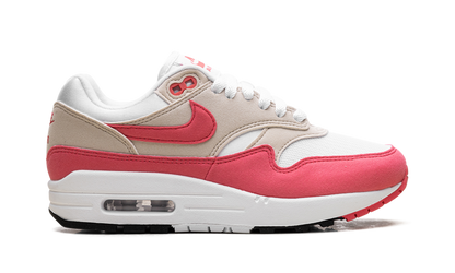 Air Max 1 WMNS "Aster Pink" DZ2628 110