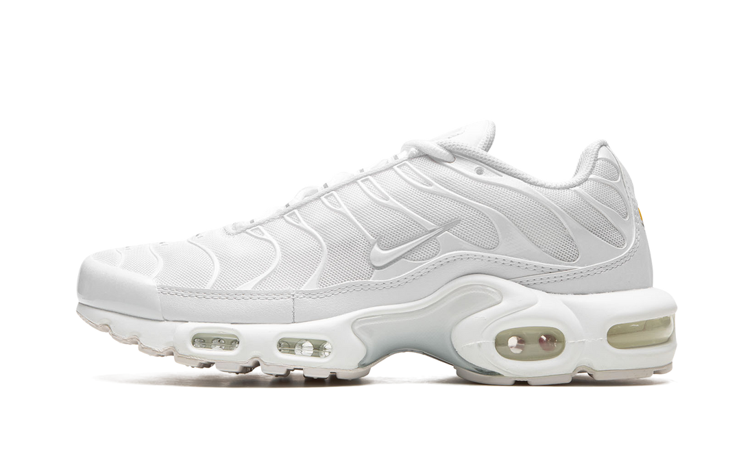 AIR MAX PLUS WMNS "Pure Platinum" DM2362 100