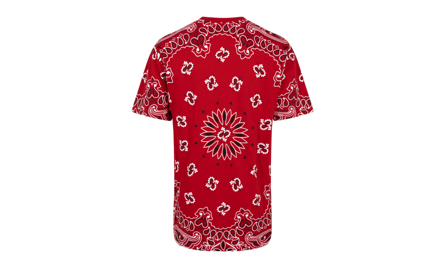 Hanes Bandana Tagless Tees (2 Pack) "FW22" SU12150