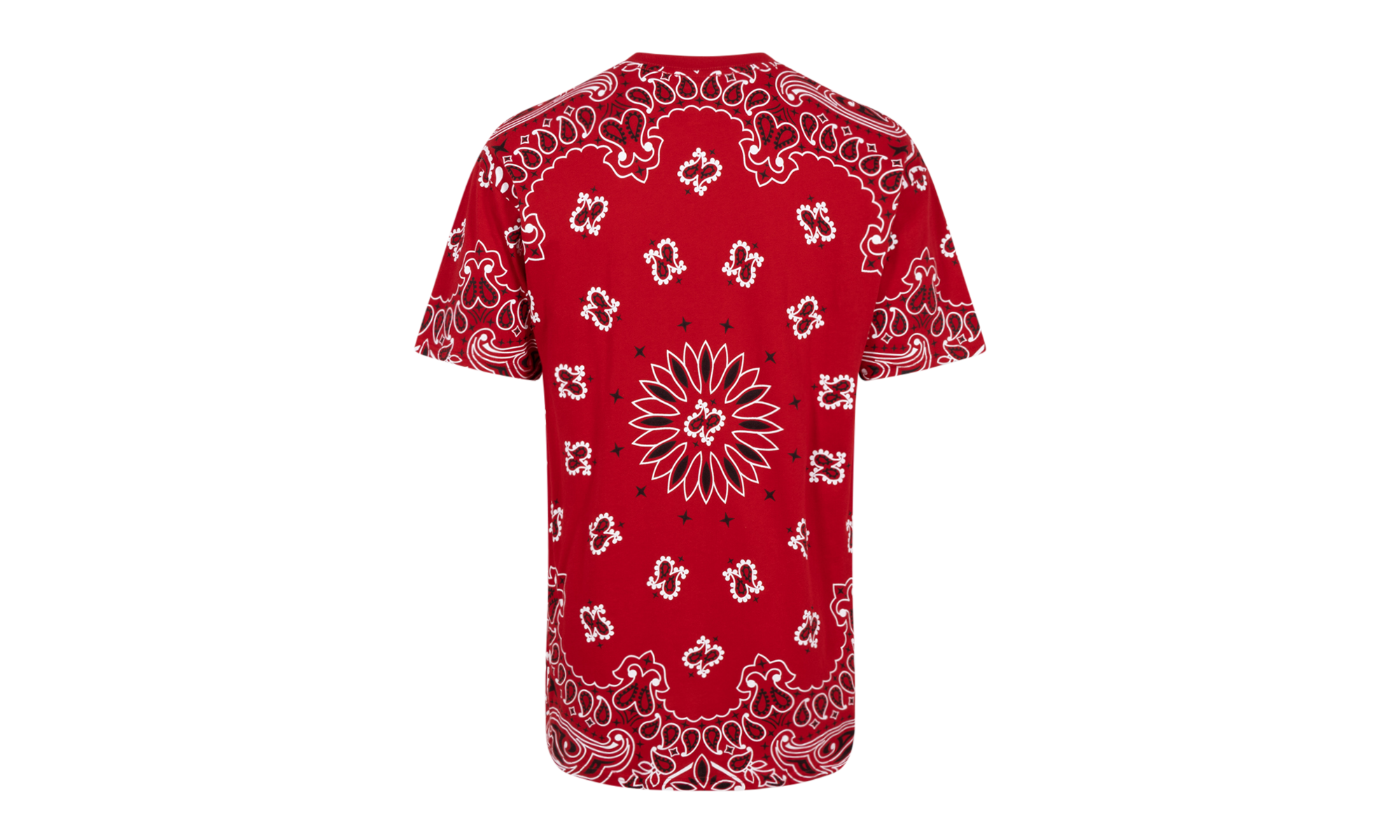 Hanes Bandana Tagless Tees (2 Pack) "FW22" SU12150