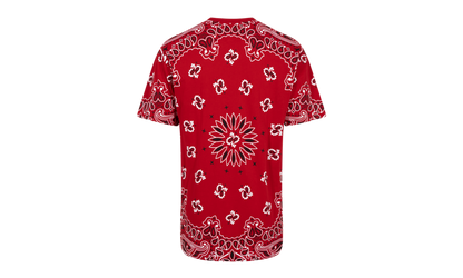 Hanes Bandana Tagless Tees (2 Pack) "FW22" SU12150