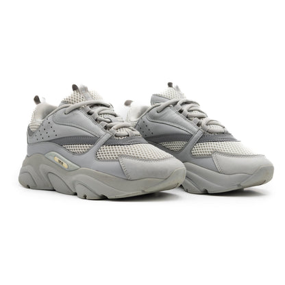 Dior B22 Grey White