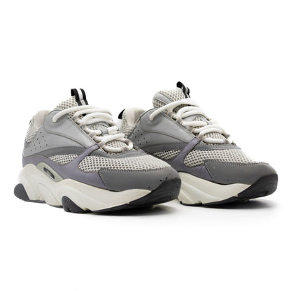 Dior B22 Grey White