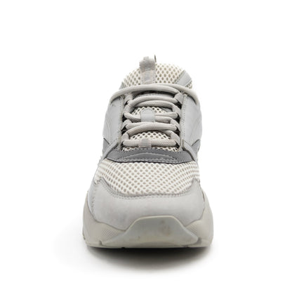 Dior B22 Grey White