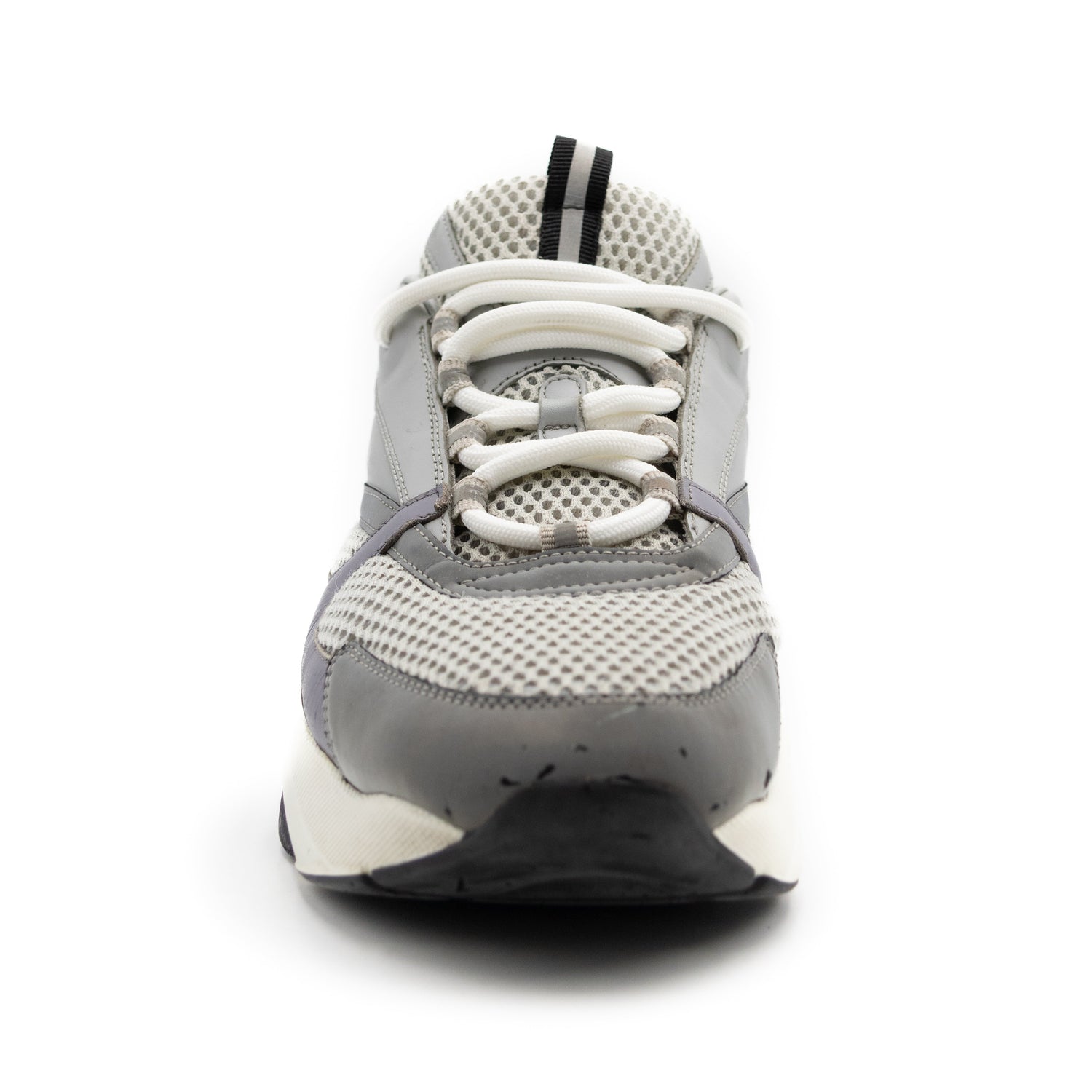 Dior B22 Grey White