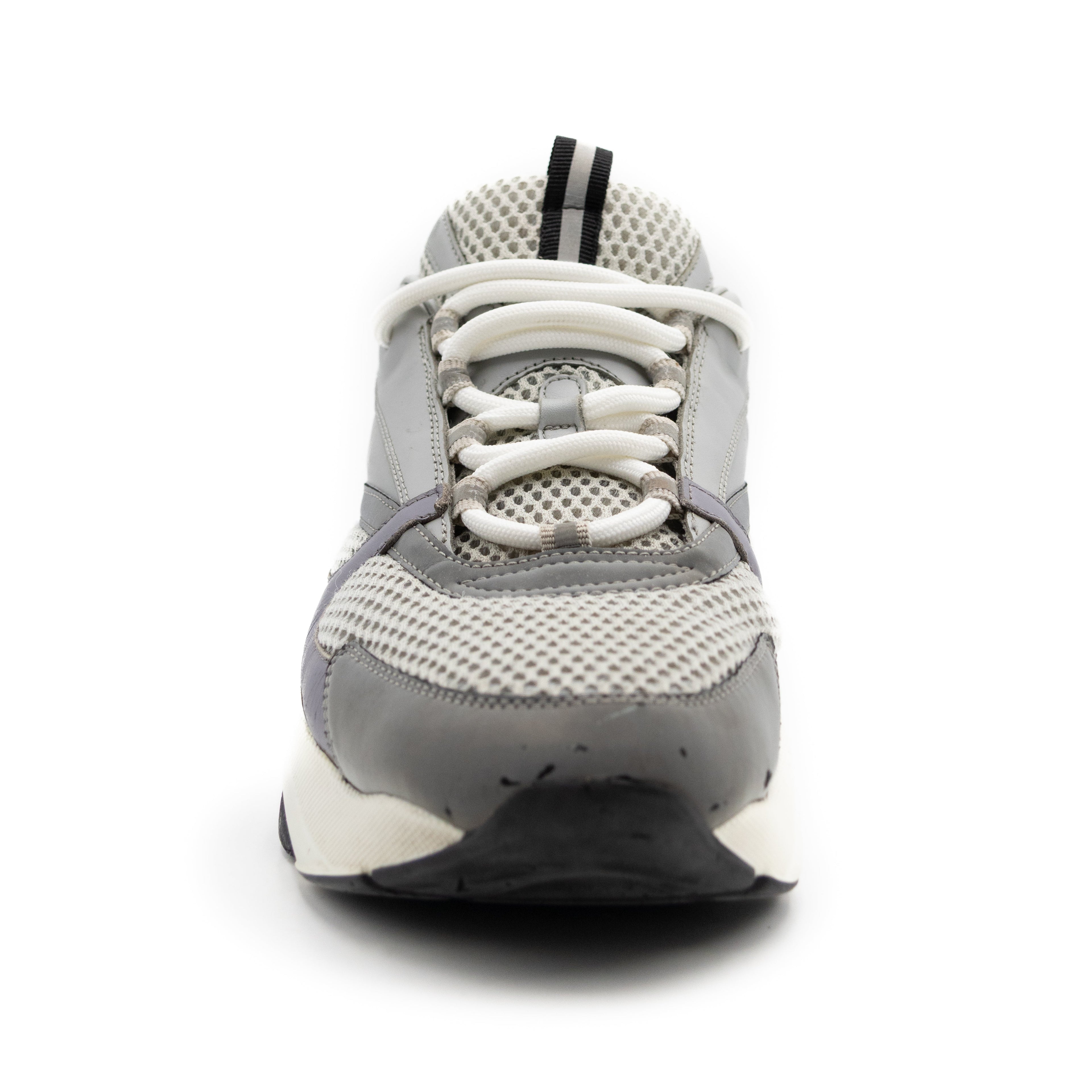 Dior B22 Grey White