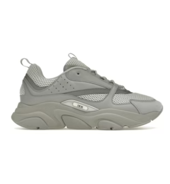 Dior B22 Grey White