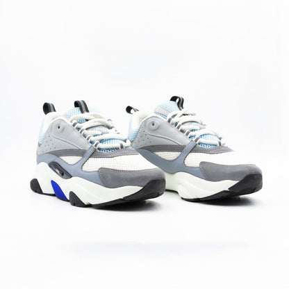 Dior B22 White Blue