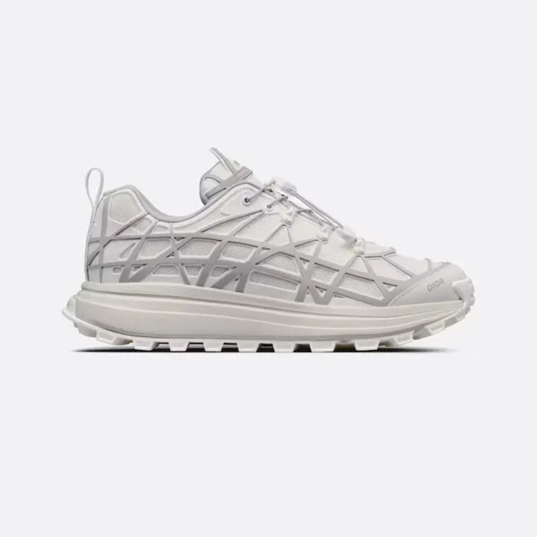 Dior B31 Runner Grey