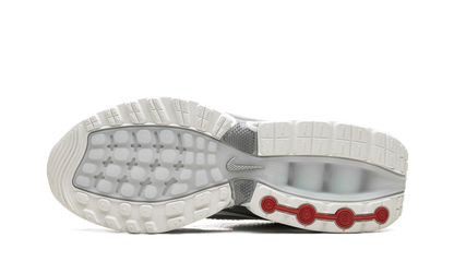 Air Max Dn "White Metallic" FJ3145 100