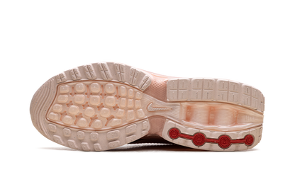 Air Max Dn WMNS "Washed Coral Guava Ice" HV4861 601