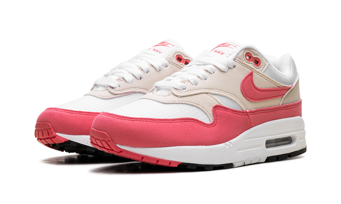 Air Max 1 WMNS "Aster Pink" DZ2628 110