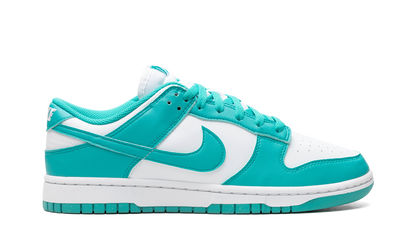 Dunk Low Next Nature WMNS "Dusty Cactus" DD1873 105