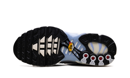 Air Max Plus WMNS "Daybreak" DZ3670 004