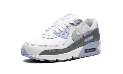 AIR MAX 90 WMNS "Cobalt Bliss" FB8570 100