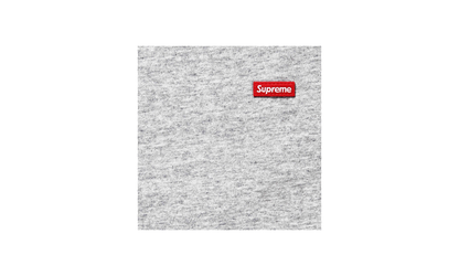 Small Box Tee "FW24 - Heather Grey" SU26098