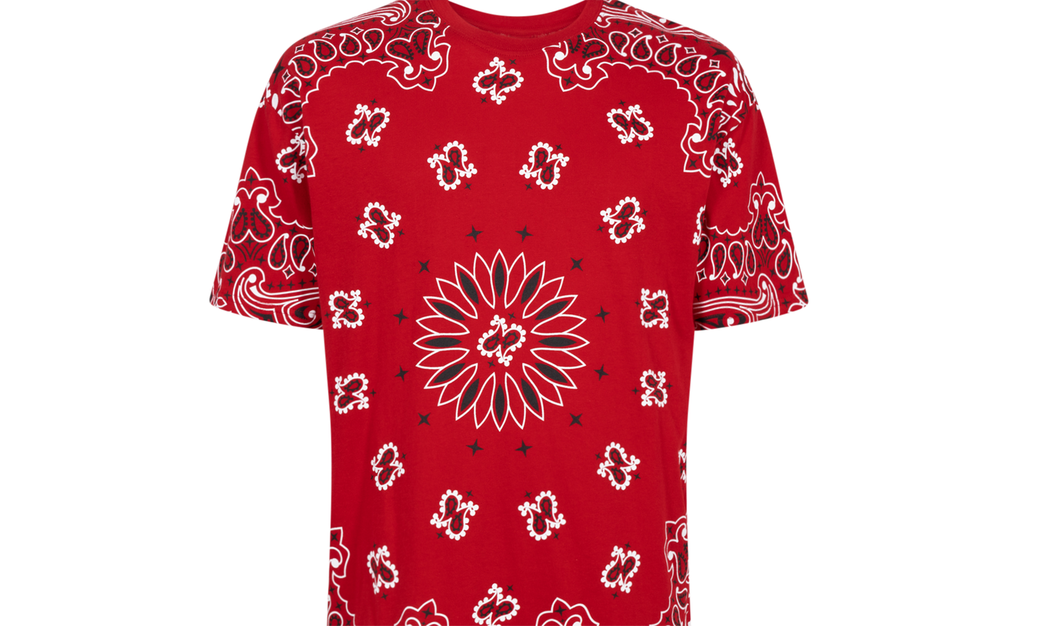 Hanes Bandana Tagless Tees (2 Pack) "FW22" SU12150