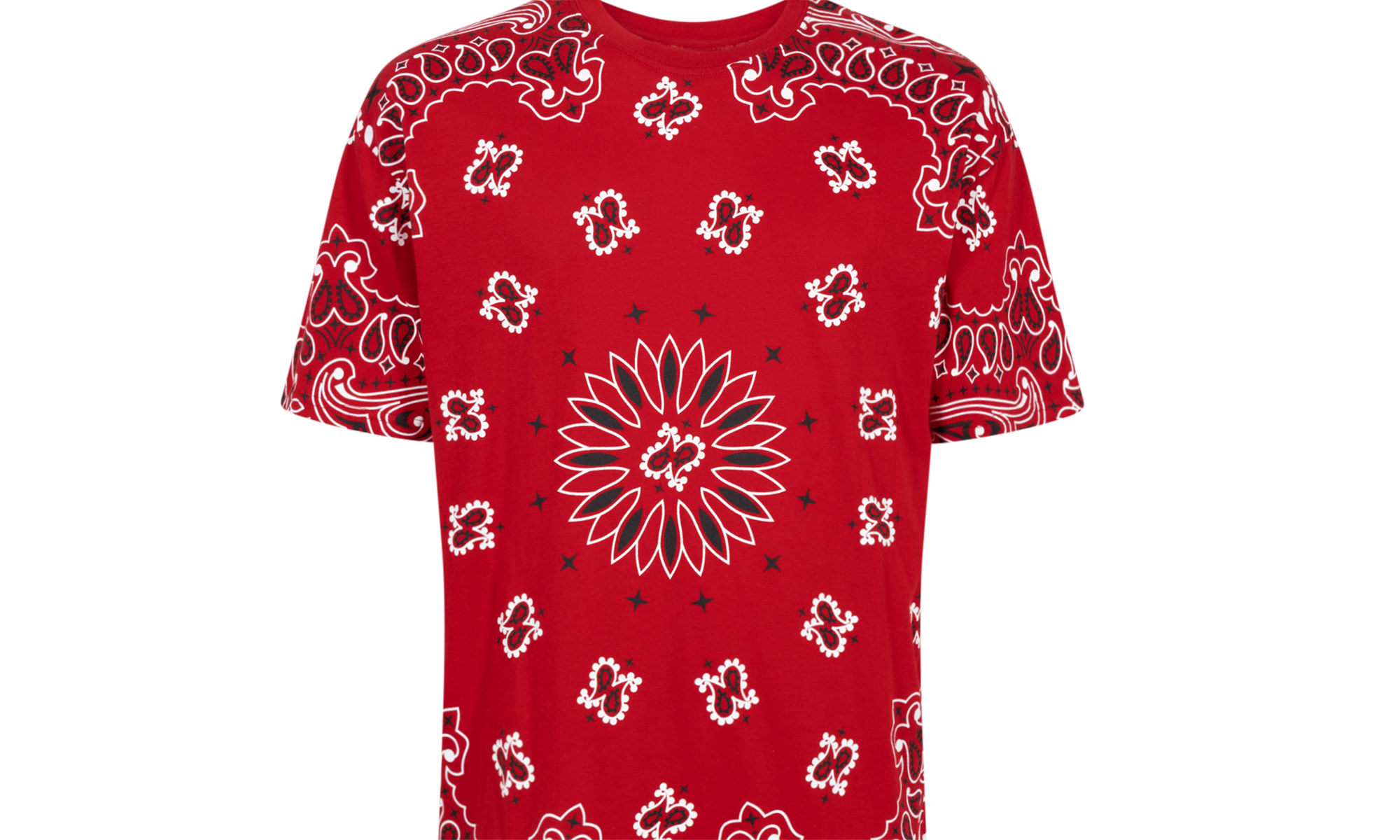 Hanes Bandana Tagless Tees (2 Pack) "FW22" SU12150