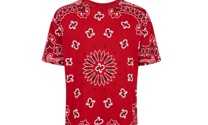 Hanes Bandana Tagless Tees (2 Pack) "FW22" SU12150