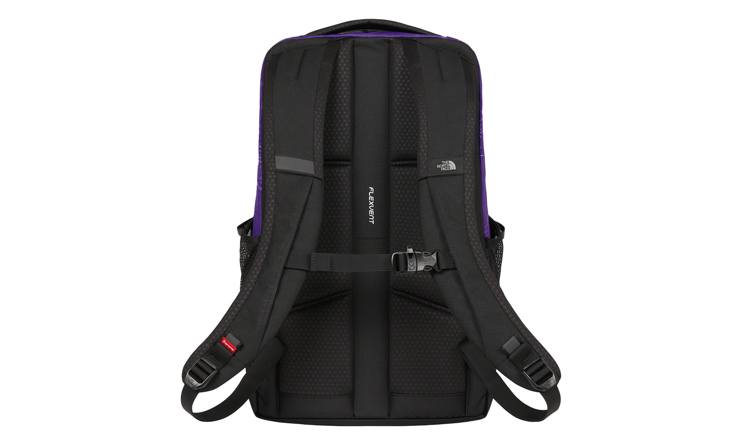 Printed Borealis Trompe L&