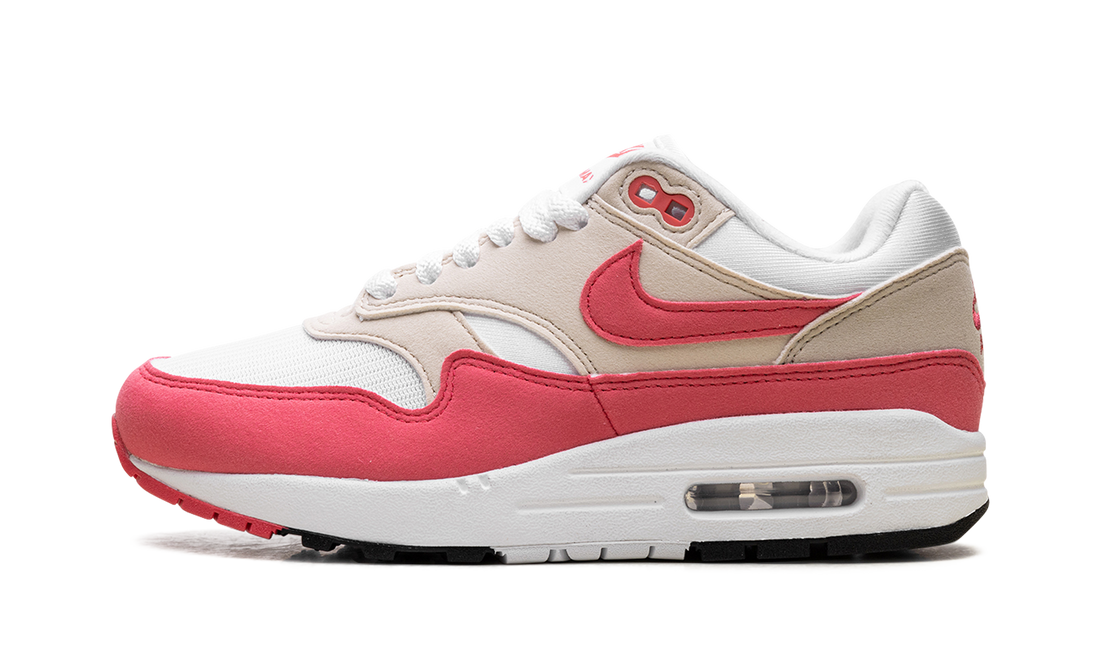 Air Max 1 WMNS "Aster Pink" DZ2628 110