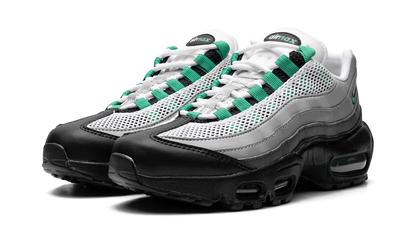 AIR MAX 95 NEXT NATURE WMNS "Stadium Green" DH8015 002