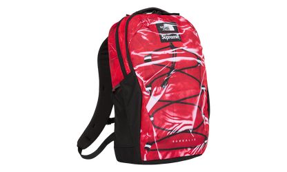 Printed Borealis Trompe L&