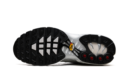 Air Max Plus WMNS "Light Silver" FV8480 002