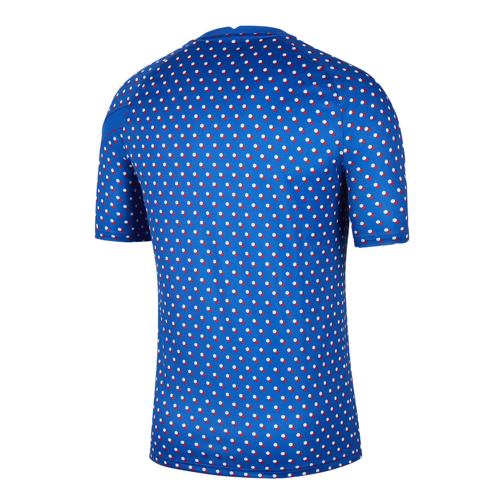 Nike France Men's 2022 Training Jersey