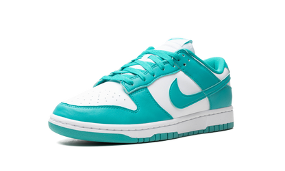 Dunk Low Next Nature WMNS "Dusty Cactus" DD1873 105