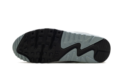 Air Max 90 WMNS "Silver" FN6948-100