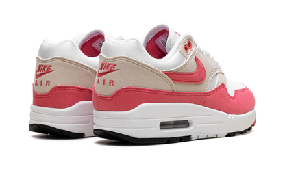 Air Max 1 WMNS "Aster Pink" DZ2628 110