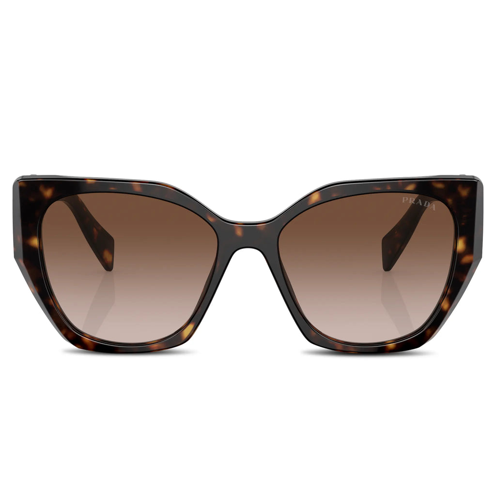 Prada PR 19ZS 2AU6S1 Tortoise Sunglasses