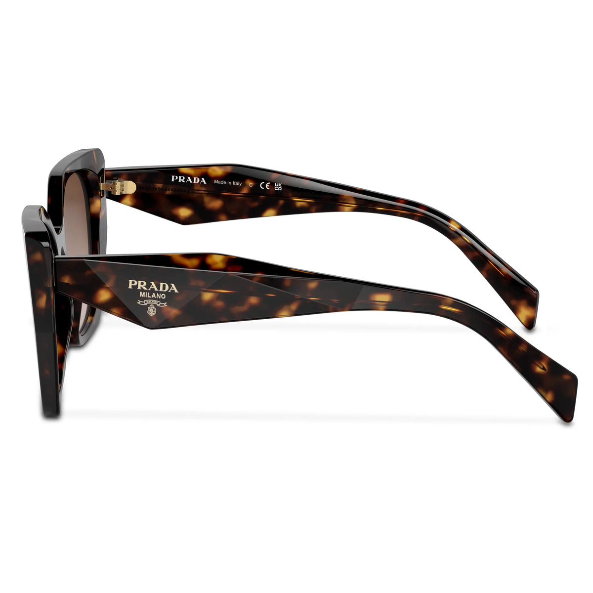 Prada PR 19ZS 2AU6S1 Tortoise Sunglasses